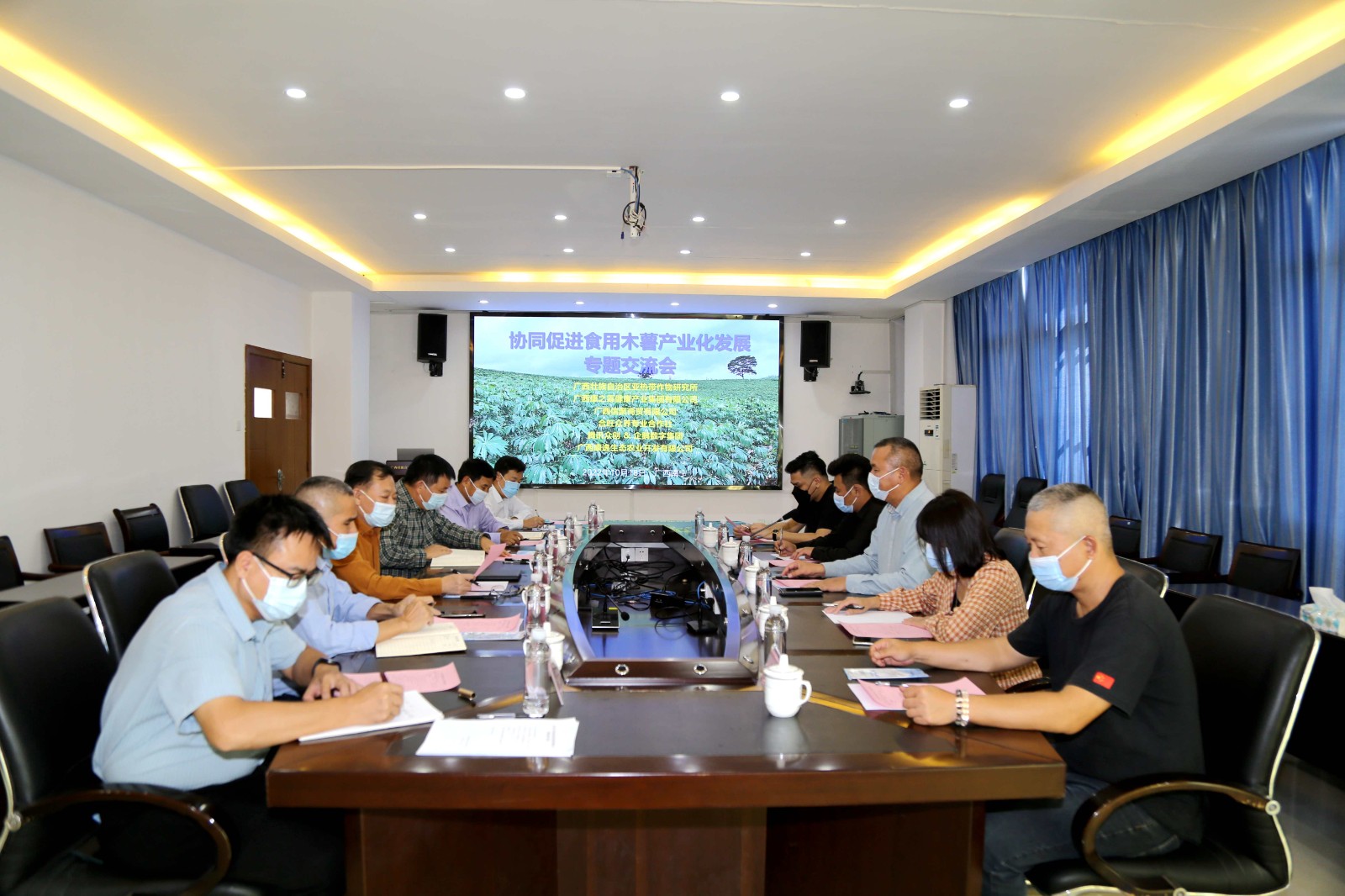 协同促进食用木薯产业化发展专题交流会在广西热作所召开