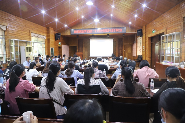 广西南亚所召开传达学习党的二十大精神会议
