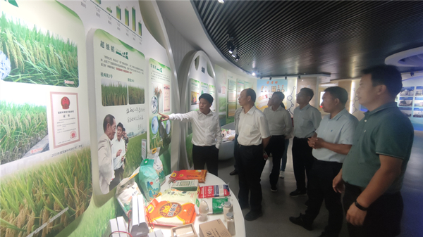 国家水稻产业体系首席科学家程式华一行到广西农业科学院调研指导