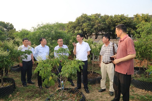 中国热带农业科学院副院长谢江辉到广西热作所调研指导科研平台建设工作