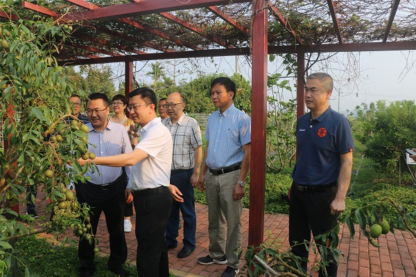 自治区党委农办专职副主任韦波一行到广西南繁基地考察调研