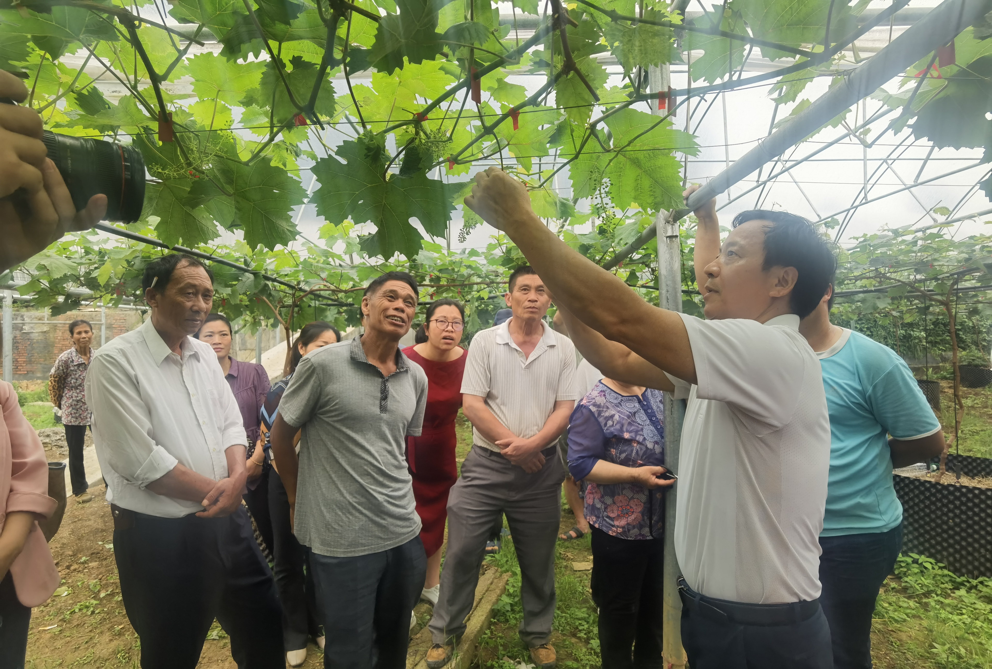 广西特色水果（葡萄）产业先锋队到全州毛竹山村开展科技服务