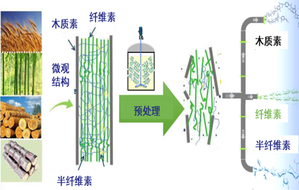 创建副产物饲料化利用技术体系 变废为宝助力产业发展乡村振兴