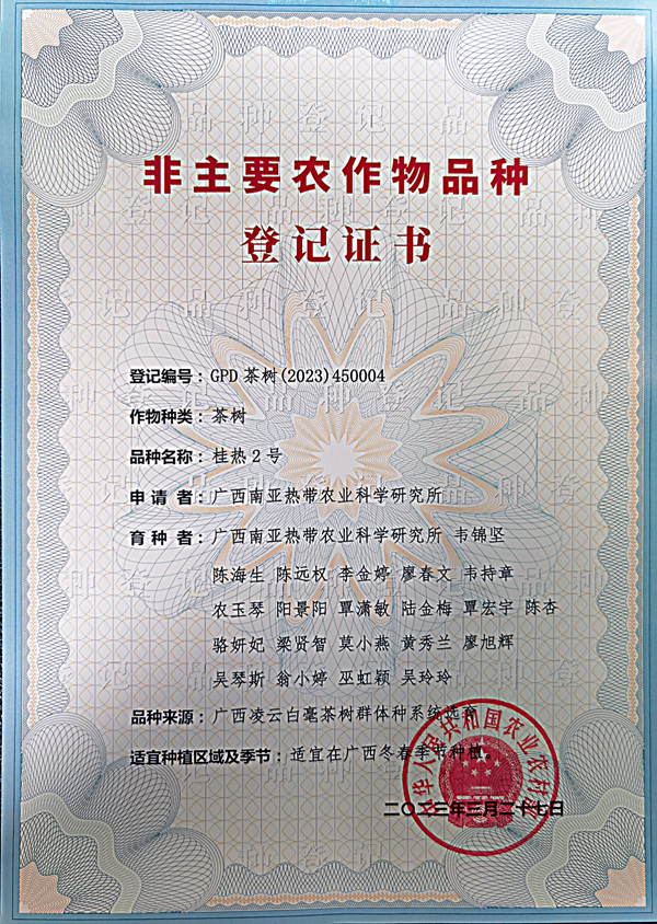 图片3_副本.png