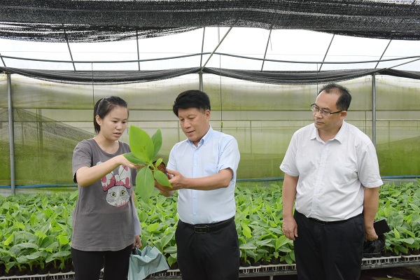 自治区农科院党组书记、院长邓国富到广西丰浩农业科技有限公司调研