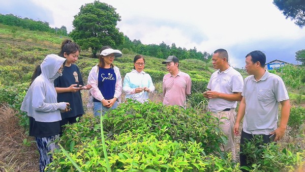 先锋队实地走访茶叶种植基地_副本.jpg