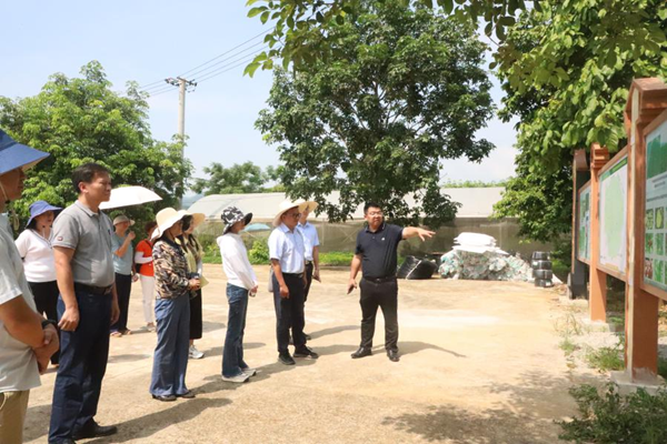海南省南繁管理局、自治区种子管理站到广西南亚所调研