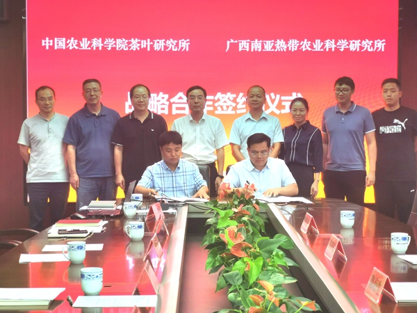 广西南亚所与中国农科院茶叶研究所签订战略合作协议