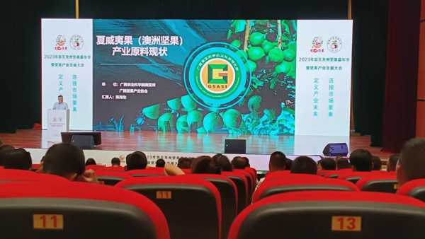 广西南亚所协助举办2023年崇左龙州坚果嘉年华暨坚果产业发展大会