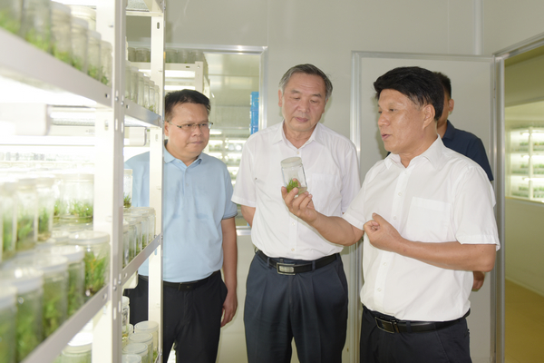 中国农垦经济发展中心主任李尚兰到广西农业科学院调研