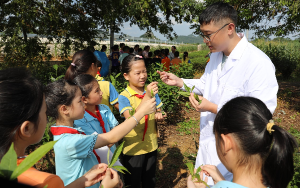 广西南亚所开展茶树种质资源多样性科普教育活动
