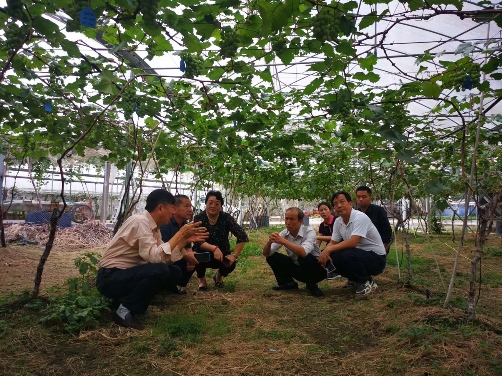 桂林市兴安县产业调研组到葡萄所开展考察与座谈交流