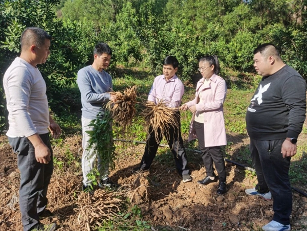 学习强国：在边关建一个“坚”固的人大代表联络站