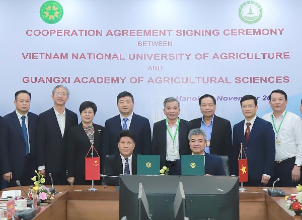 广西农业科学院与越南农业大学续签合作备忘录