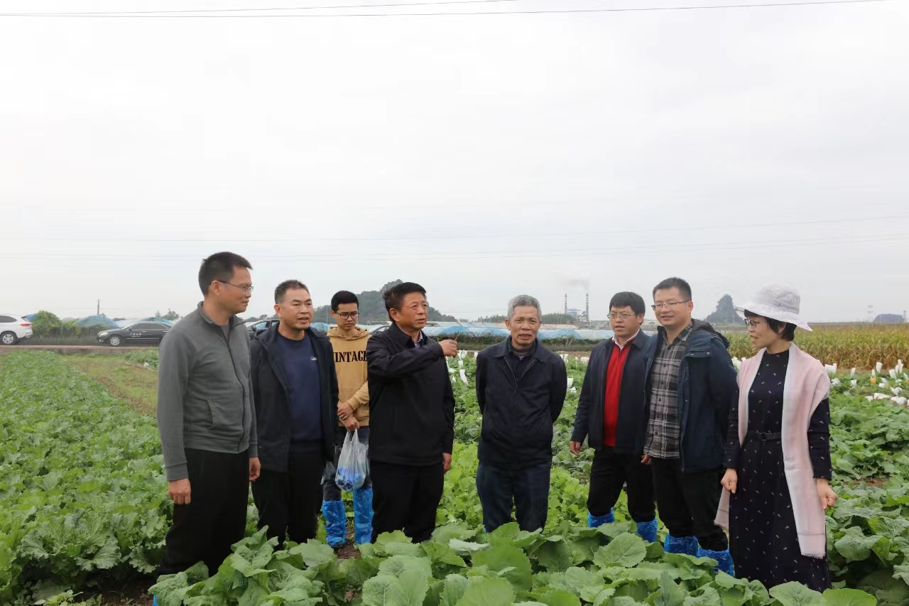 中国工程院院士王汉中到广西农业科学院调研指导
