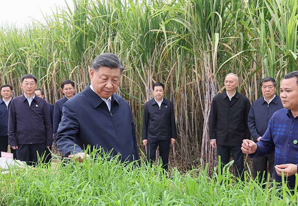 习近平在广西考察时强调：解放思想创新求变向海图强开放发展 奋力谱写中国式现代化广西篇章