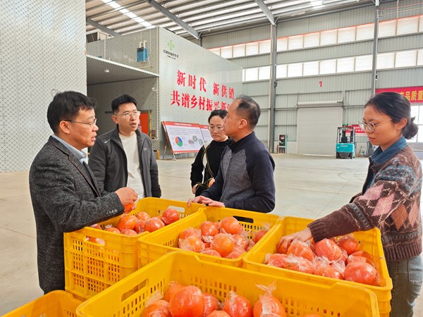 先锋队对生产关键环节提出指导意见_副本.jpg