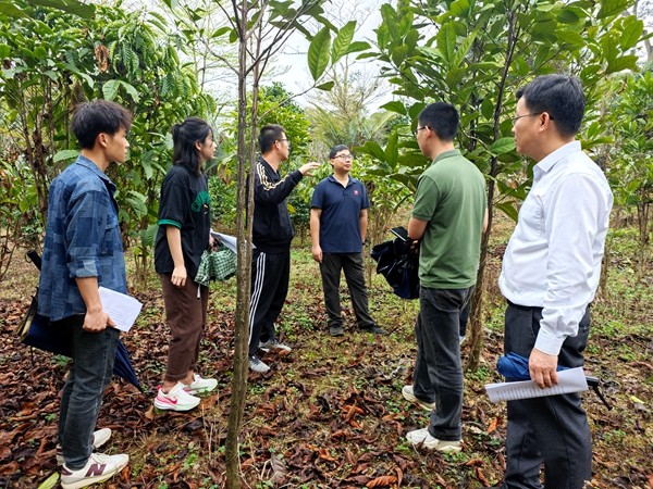 在咖啡种质资源圃参观交流_副本.jpg