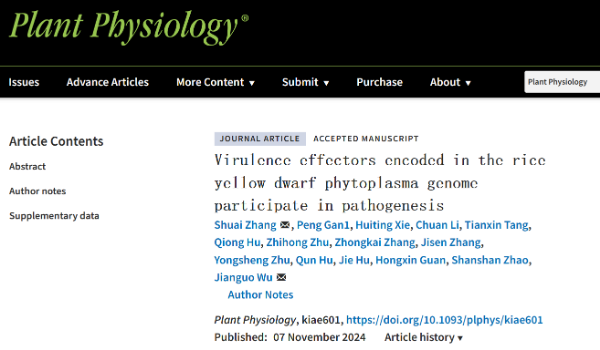 植保所科技人员在权威期刊Plant Physiology发表解析水稻植原体致病关键因子研究文章