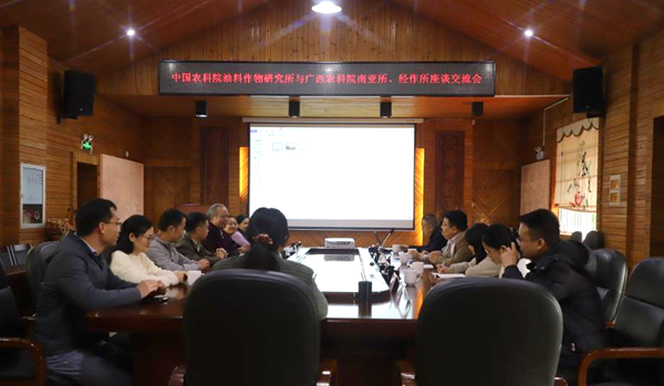 中国农业科学院油料作物研究所、广西农业科学院经济作物研究所到广西南亚所调研交流