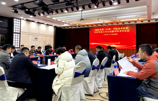 图片2_副本.jpg