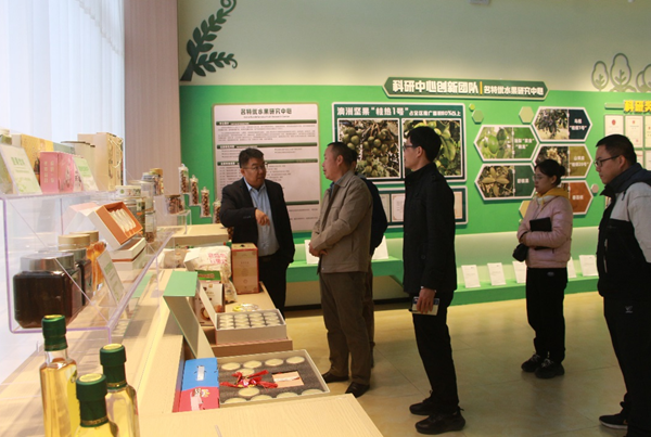 自治区林业种苗站到广西南亚所开展良种选育工作调研