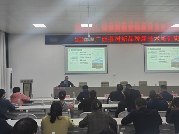 广西南亚所承办“2025年广西茶树新品种新技术培训班”