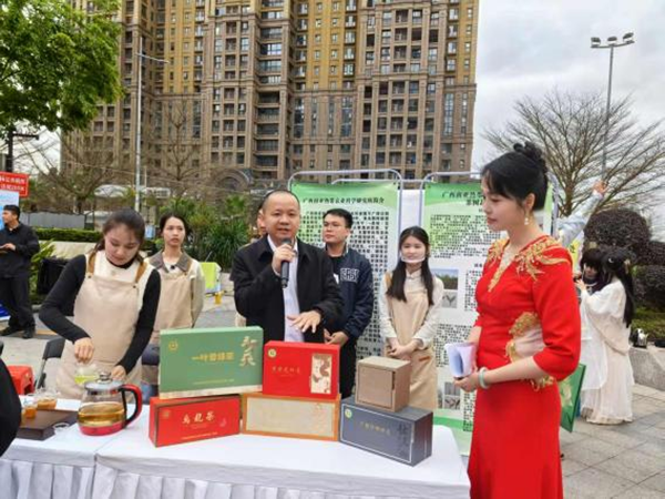 广西南亚所参加2025年广西早春茶系列活动暨国际茶日和第十七届全民饮茶日活动