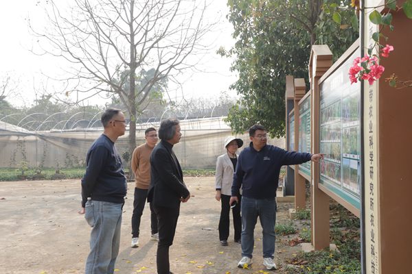 广西茶叶流通协会到广西南亚所调研交流