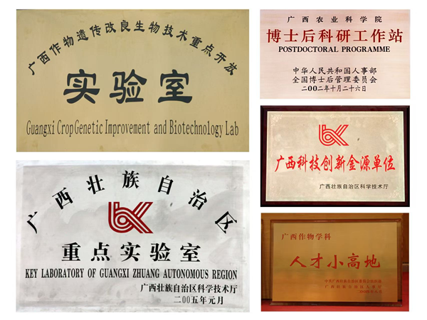 奋进新征程  喜迎广西农业科学院建院九十周年系列报道之广西作物遗传改良生物技术重点开放实验室研究篇