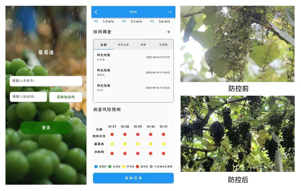 图片4.5.22_副本.png