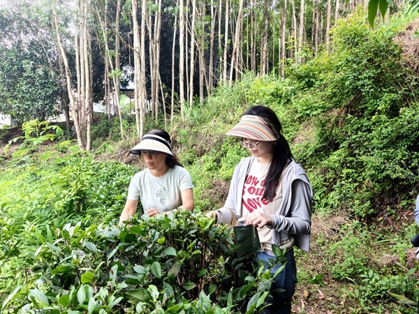 f27321fe96fb884b91c6859dc58812e_副本.jpg
