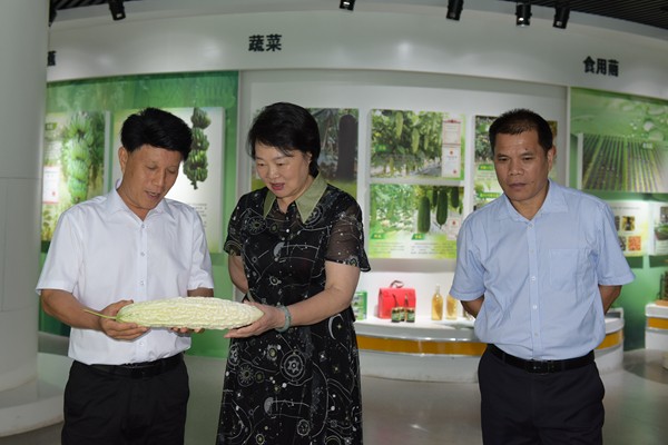 JPG_1573_副本.jpg