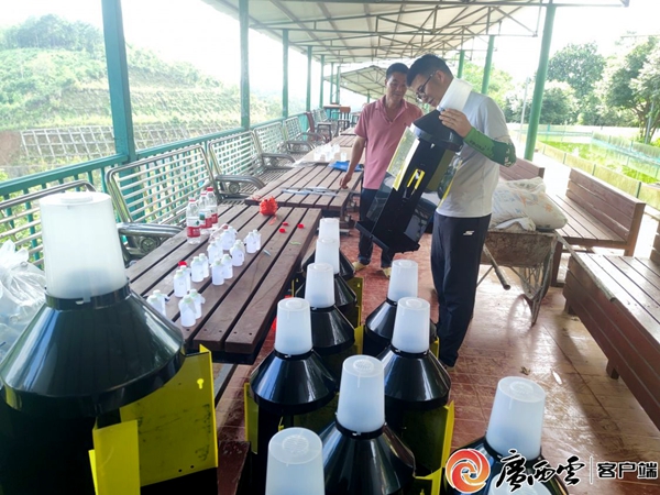 现场示范制作害虫诱捕装置。_副本.jpg