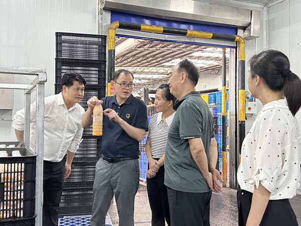加工所科技人员赴合浦开展国家重点研发计划“果品加工提档升级关键技术与产业化”项目实施工作