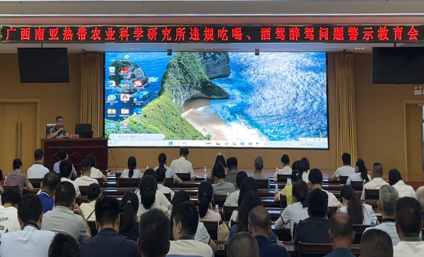 图片1_副本.png