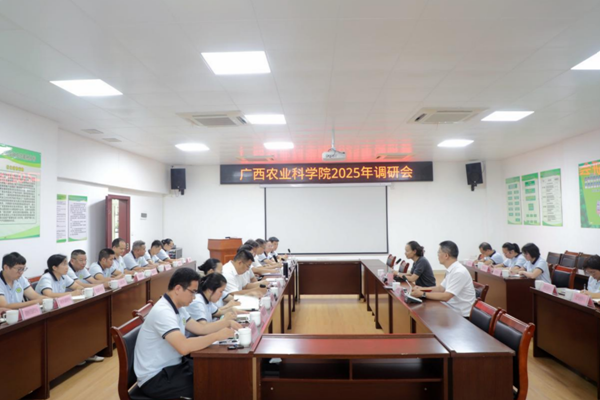 图片2_副本.png