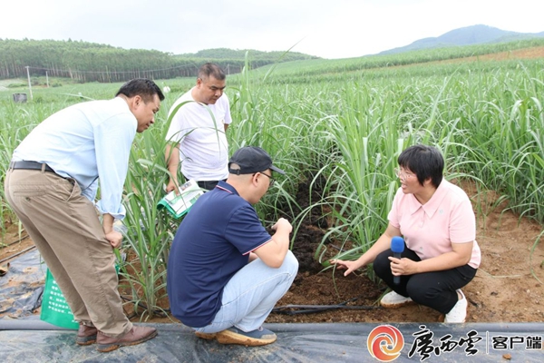8585c71b674dc2addb73073501a3ad32_wm9dcc_副本.jpg