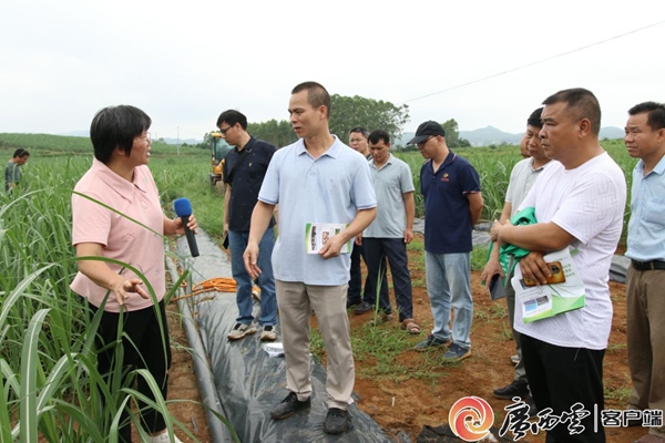 c4796b20bde757cf8c7f9f1ac8486588_wmfc0c_副本.jpg