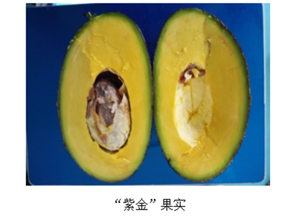 微信图片_20250625185814_副本.png