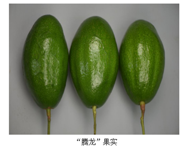 微信图片_20250625185818_副本.png
