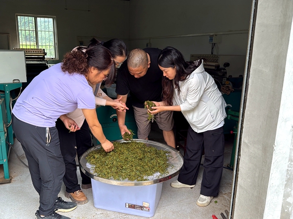 ca28826f3ec75649e3702eae208a4ae_副本.jpg