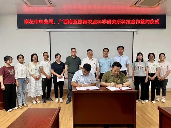 广西南亚所党委与崇左市林业局机关服务保障党支部开展联建共建活动