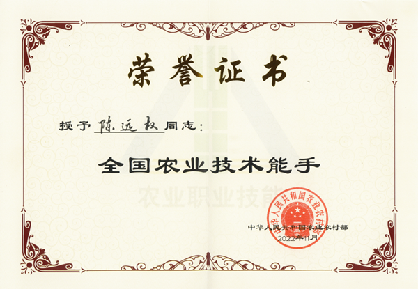 图片28_副本.png