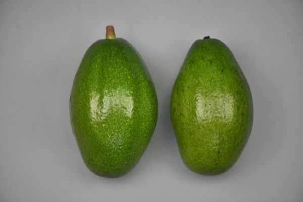640 (1)_副本.jpg