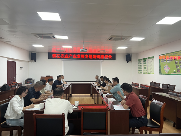 崇左市副市长黄覃梅率队到广西南亚所开展农业产业发展专题调研