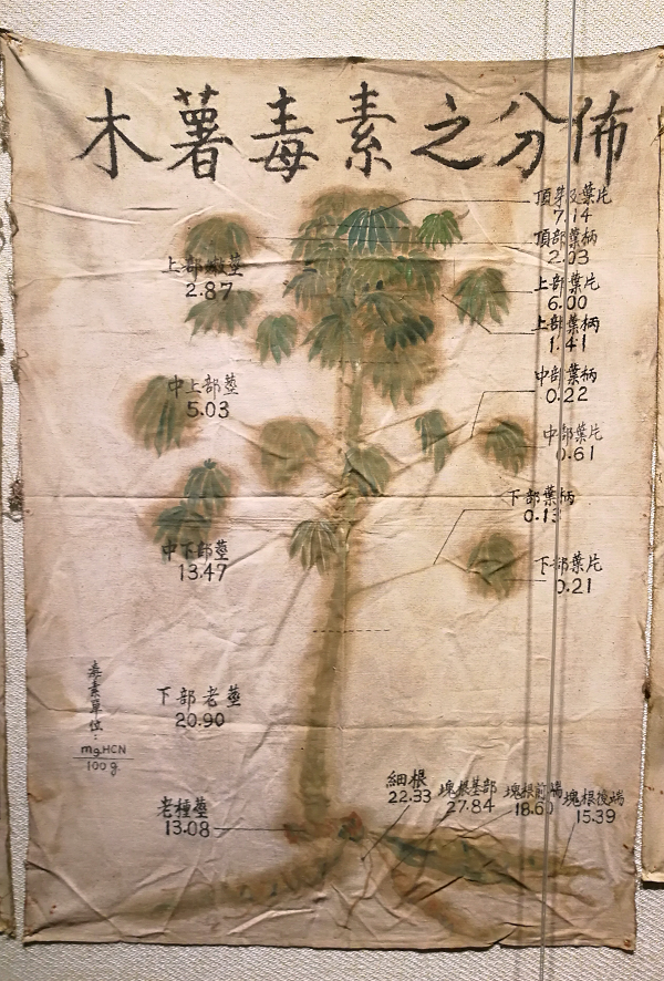 柳州农事试验场时期开展的木薯研究-1.png