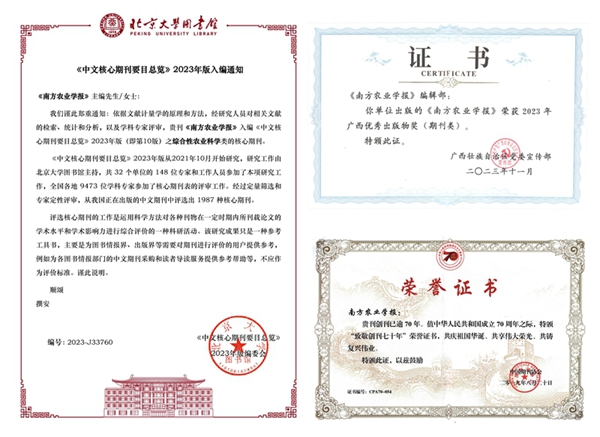 证书P(1).jpg