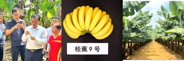 微信图片_20250711182512_副本.jpg