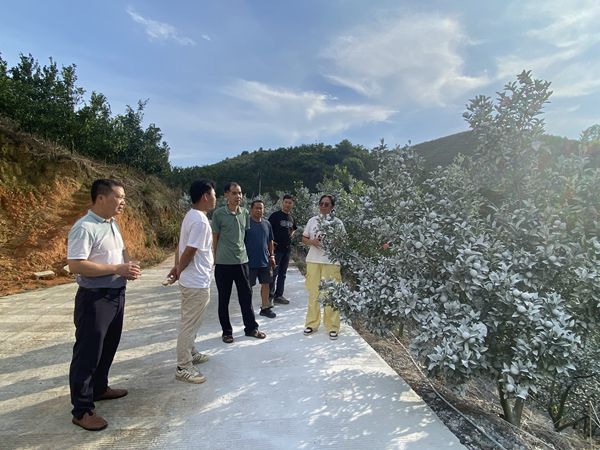 微信图片_20250714102633_副本.jpg
